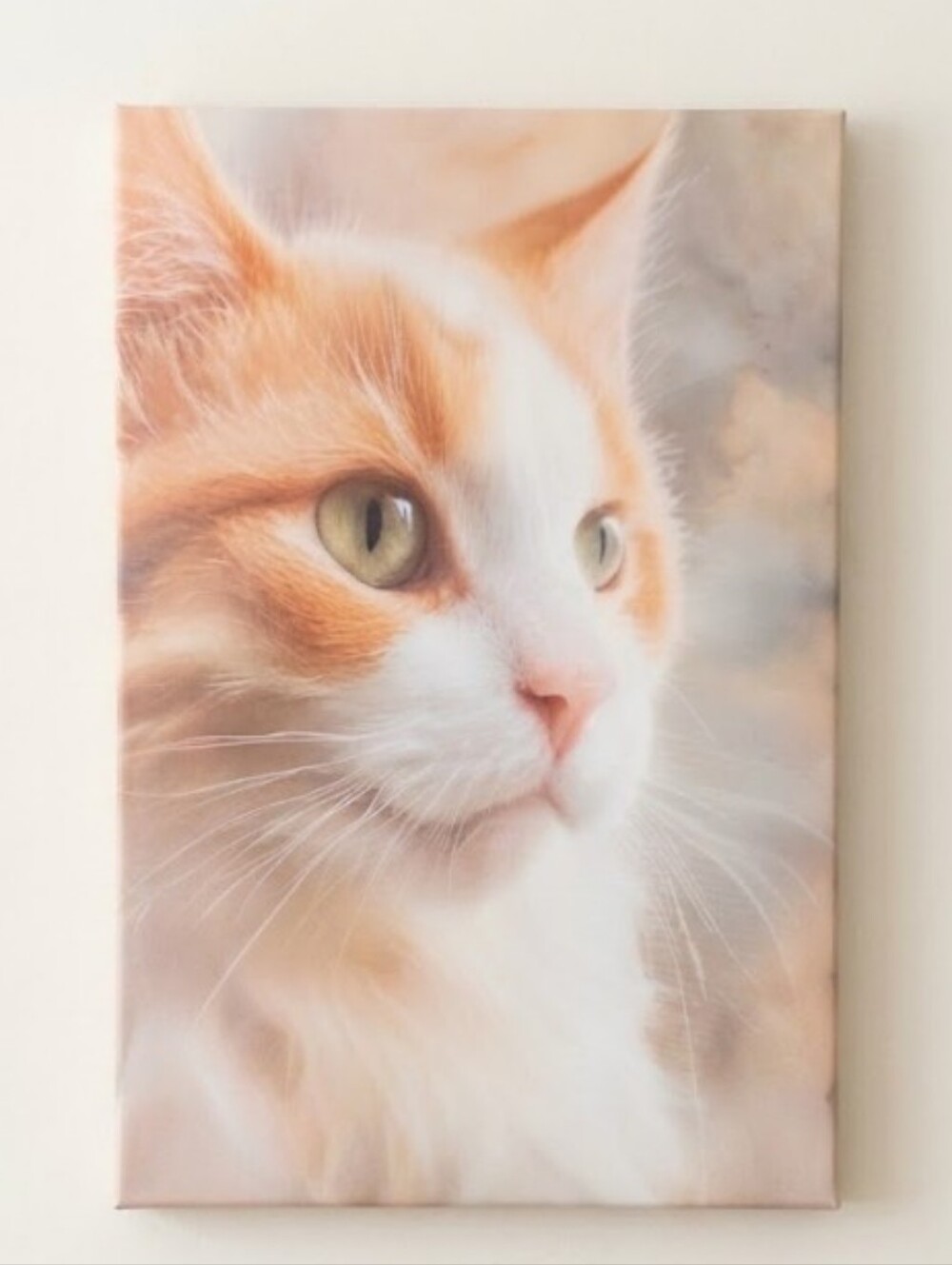 Orange and White Cat Canvas Wall Art Cute Kitty Decor
